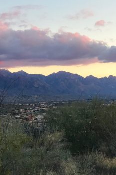 arizona-instagram