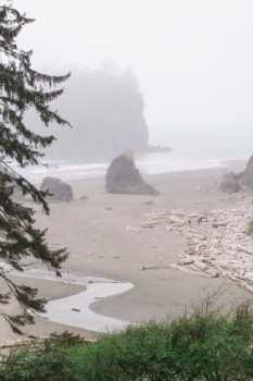 ruby beach washington